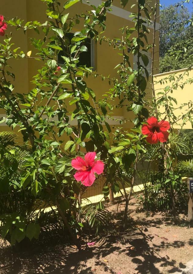 Villa Verona Praia do Forte Dış mekan fotoğraf